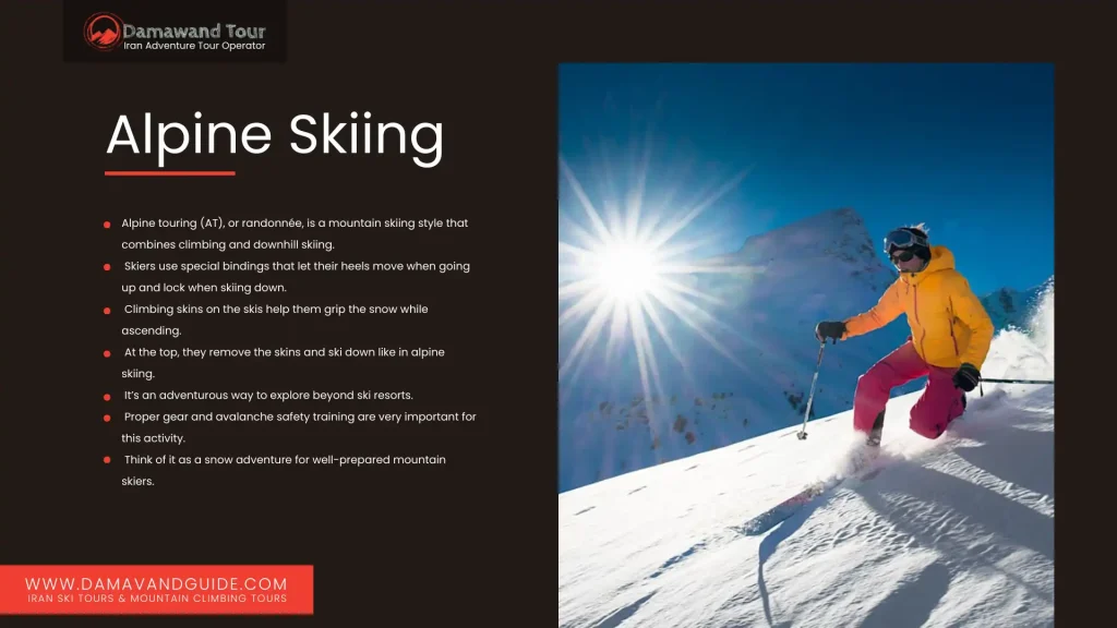 Cool Type of Skiing: Alpine Skiing